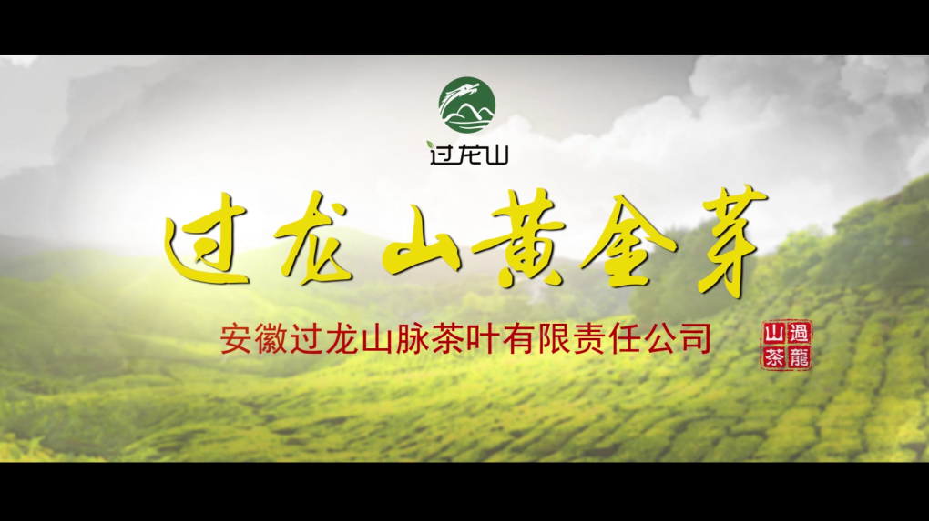 我公司完成過(guò)龍山黃金芽茶葉宣傳片